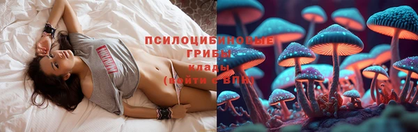 прущая мука Алзамай