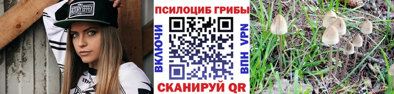 Галлюциногенные грибы Psilocybe  Купить закладки  Серов 